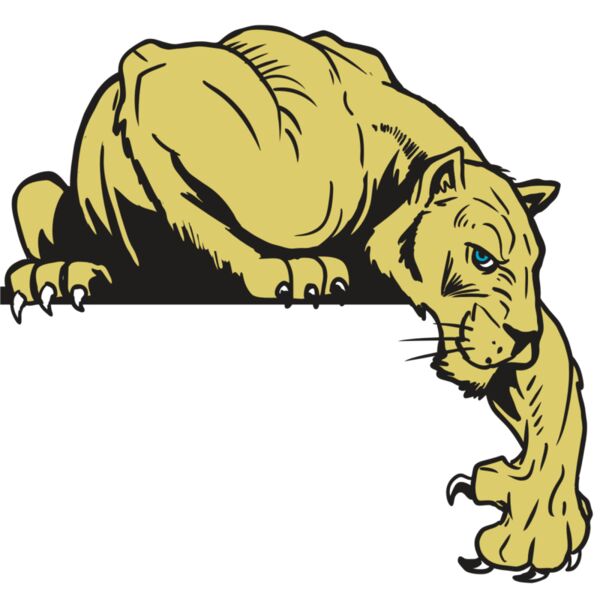 AR10 PANTHER 06 RQC Thumbnail